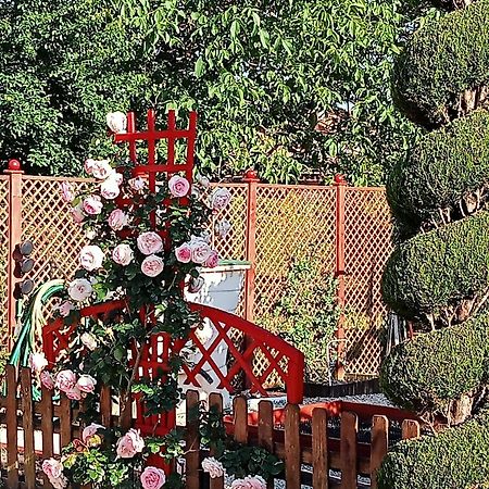 Une Pause Quelque Part Au Jardin Des Erables Et Des Niwakis Saint-Medard-de-Guizieres Exterior foto