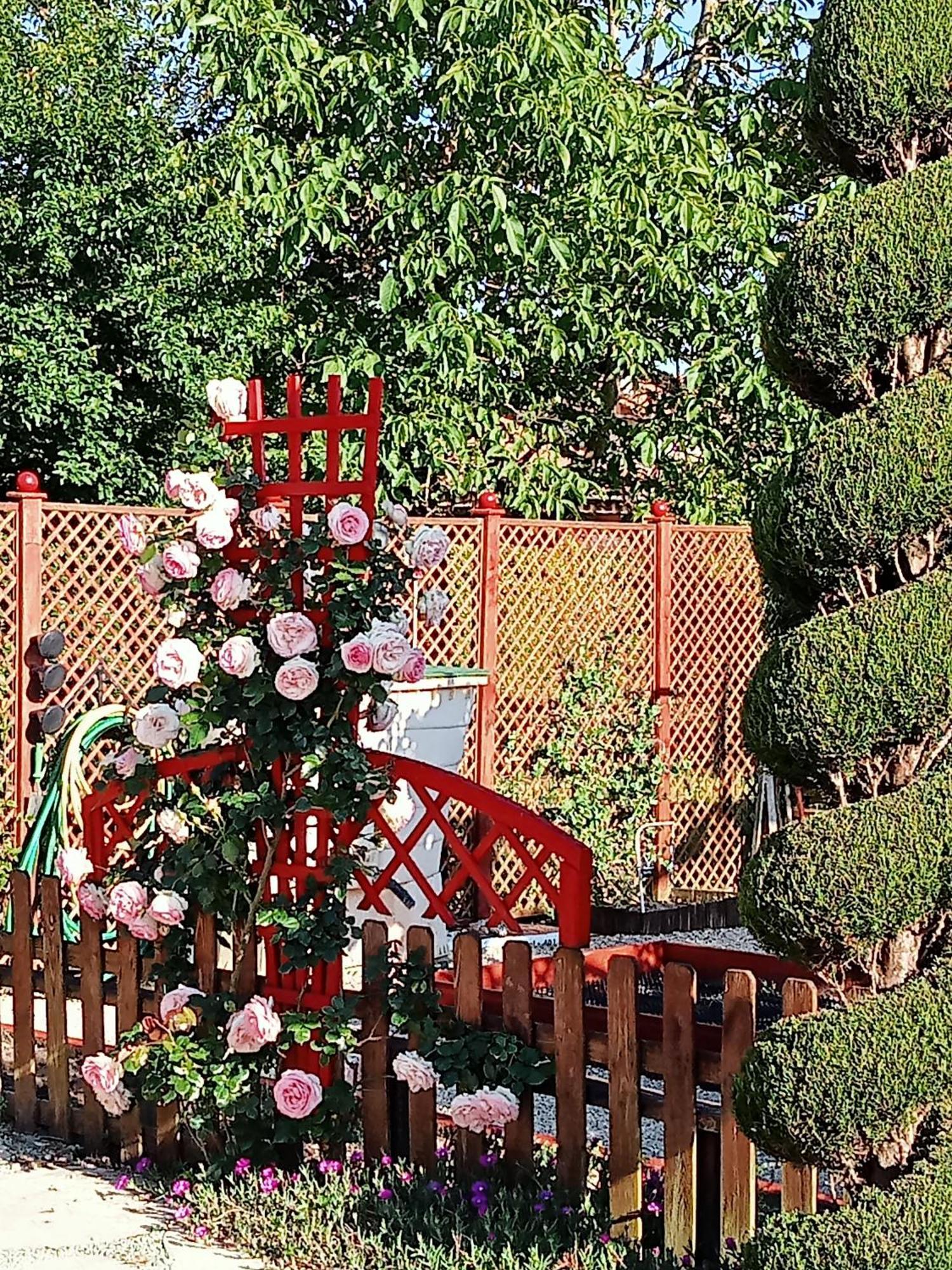 Une Pause Quelque Part Au Jardin Des Erables Et Des Niwakis Saint-Medard-de-Guizieres Exterior foto
